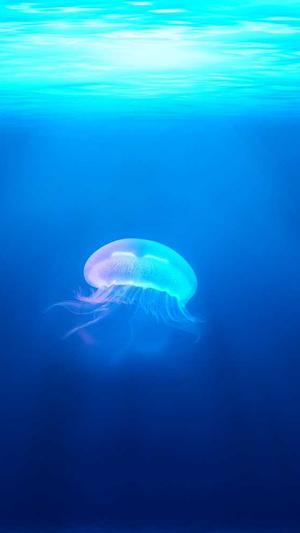 18MIC禁漫天堂入口截图2