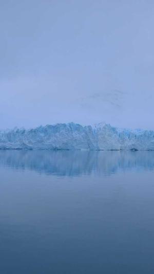 91视频官网入口截图4