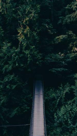 安非他命快播截图1