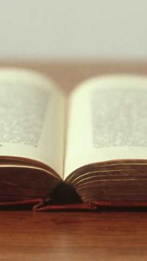 快播如何看黄截图2