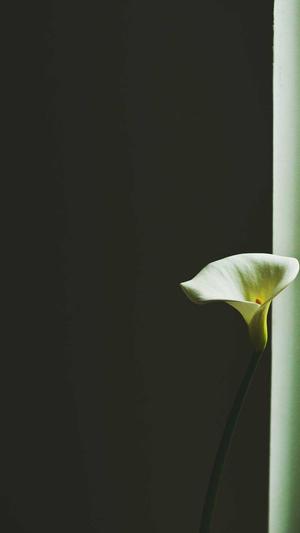 撸撸射百度影音截图1